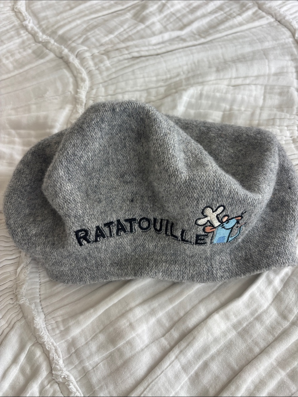 Ratatouille Embroidered Gray Beret